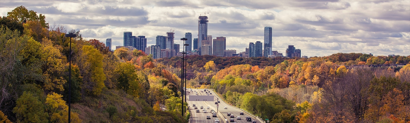 이민 서비스 개요