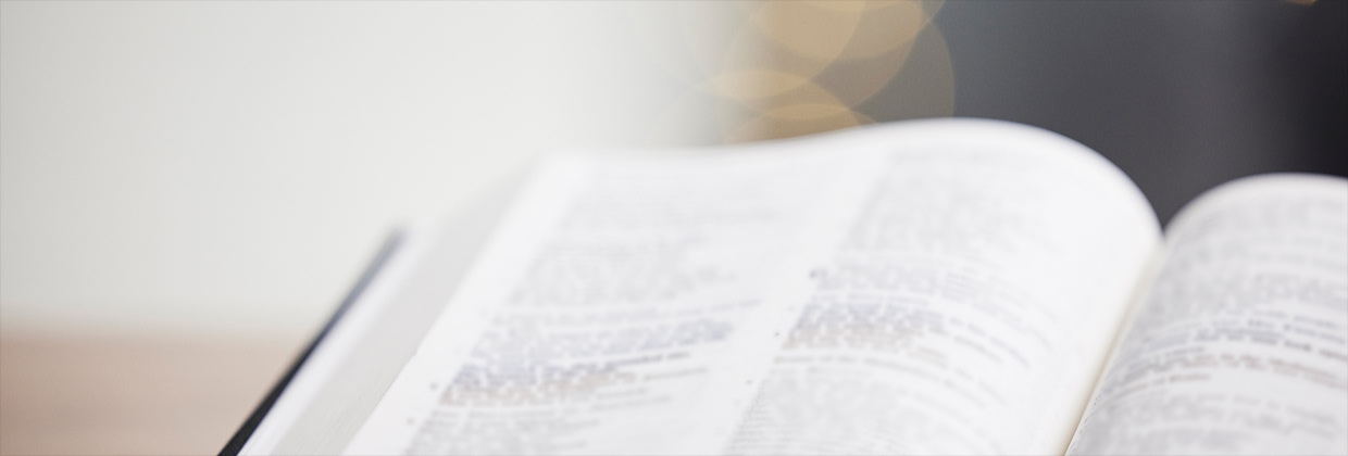 자녀 무상 교육 프로그램 개요