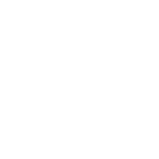 POST OBTAINING VISA SERVICE